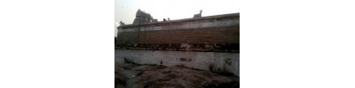 226. திருஅறையணி நல்லூர்